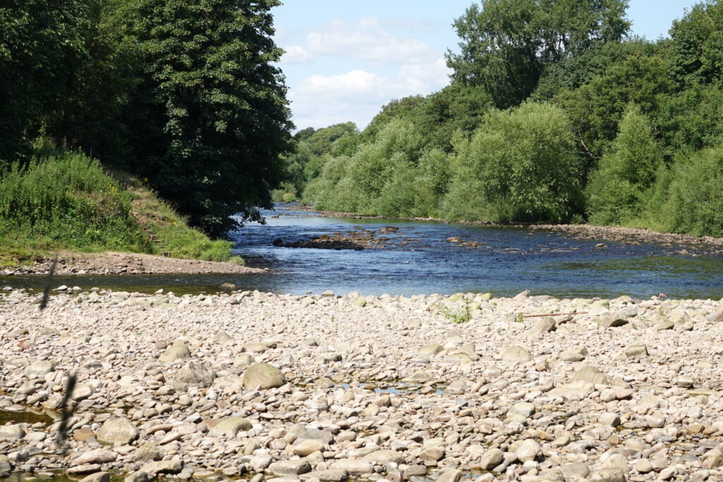 A view along the Tyne in bright sun