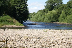 A view along the Tyne in bright sun