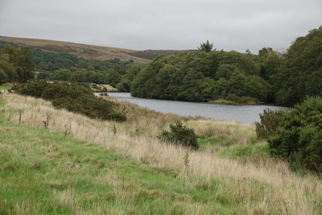 A view of the River Tyne